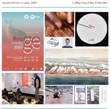 Capture d’écran 2026-04-21 140505.jpg